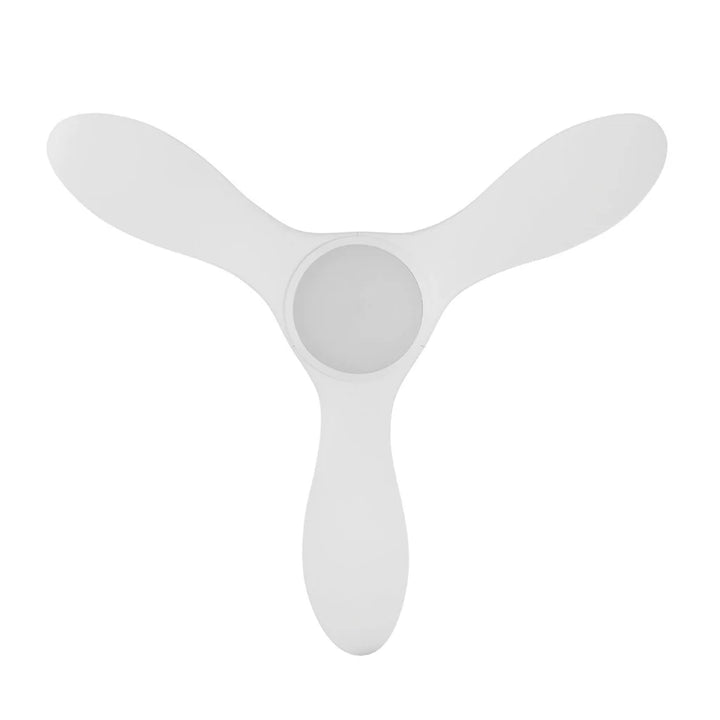 NOOSA Ceiling Fan with LED Light - Low Profile, Strong Airflow, and Multiple Functions