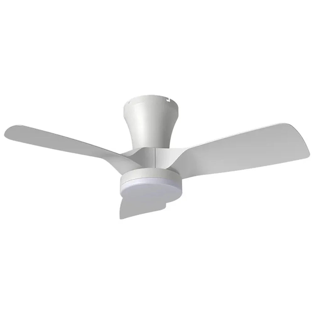 Kiwi 32" Ceiling Fan with Night Mode - Available with or without Light