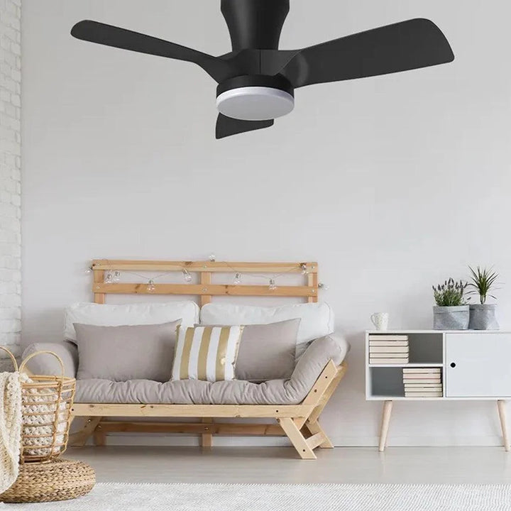 Kiwi 32" Ceiling Fan with Night Mode - Available with or without Light