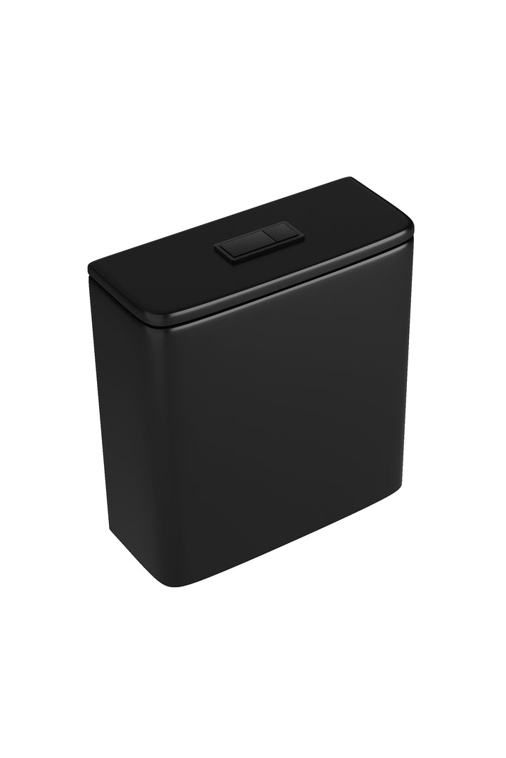 Radiant Cistern Universal Inlet Matte Black - Geberit