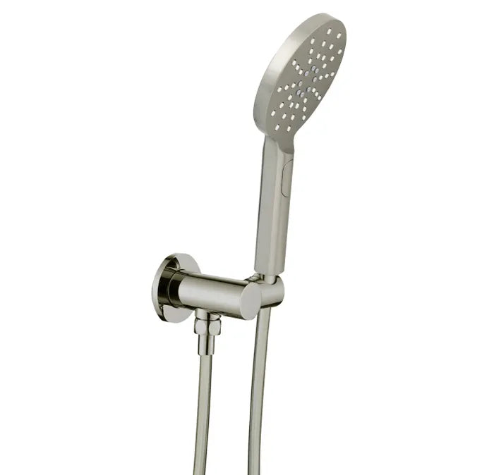 Pavia Brushed Nickel Handheld Shower Set Round