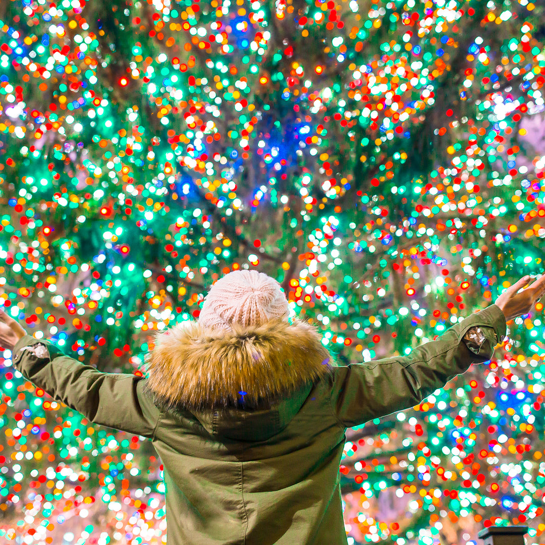 Milano Decor Solar Powered Outdoor Fairy Lights