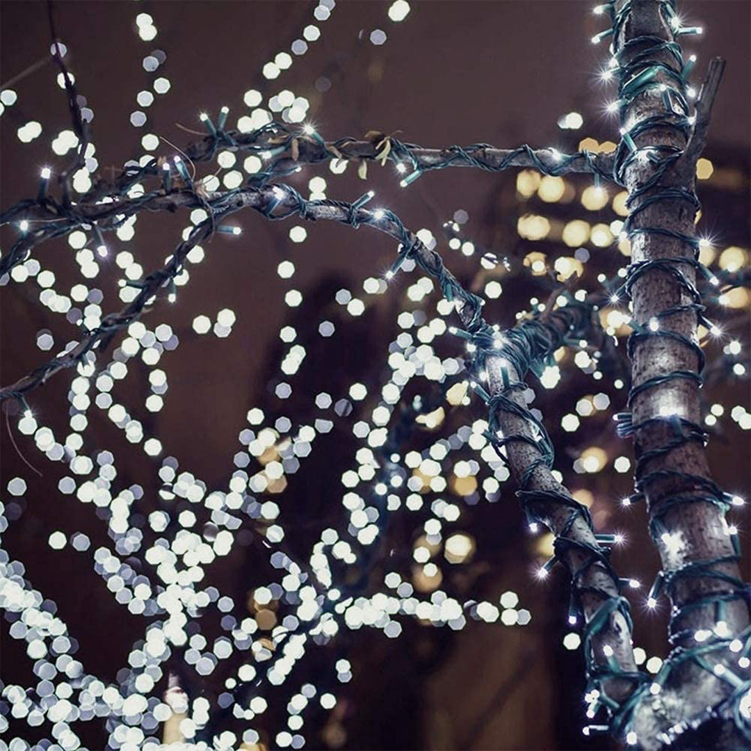 Milano Decor Outdoor LED Plug In Fairy Lights