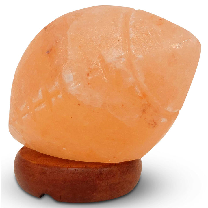 Himalayan Pink Salt Lamp Rugby